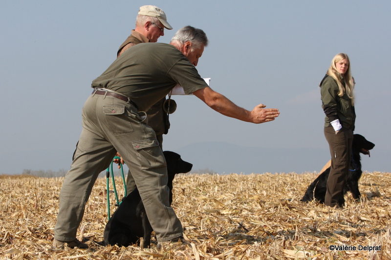 Field Erstein 09 (153).JPG